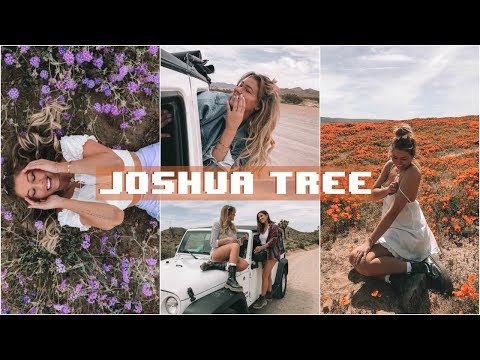 Travel Vlog // Joshua Tree, CA!