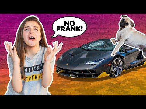 Buying My Dog EVERYTHING He Touches (24 Hour Challenge) *NO BUDGET* 🐶💰| Piper Rockelle