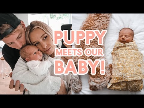FIRST 48 HOURS!! Body After Birth + Bringing Our Newborn Home | Baby &amp; Puppy Meet!