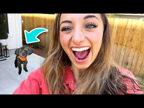 Little ASH Surprises Brooklyn and Bailey!